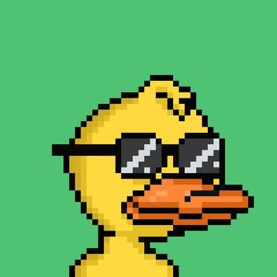 Duck Friends